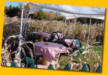 Private Party Tent