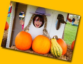 Pumpkin Tree House