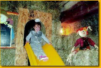 Little Kid’s Straw Tunnel Maze